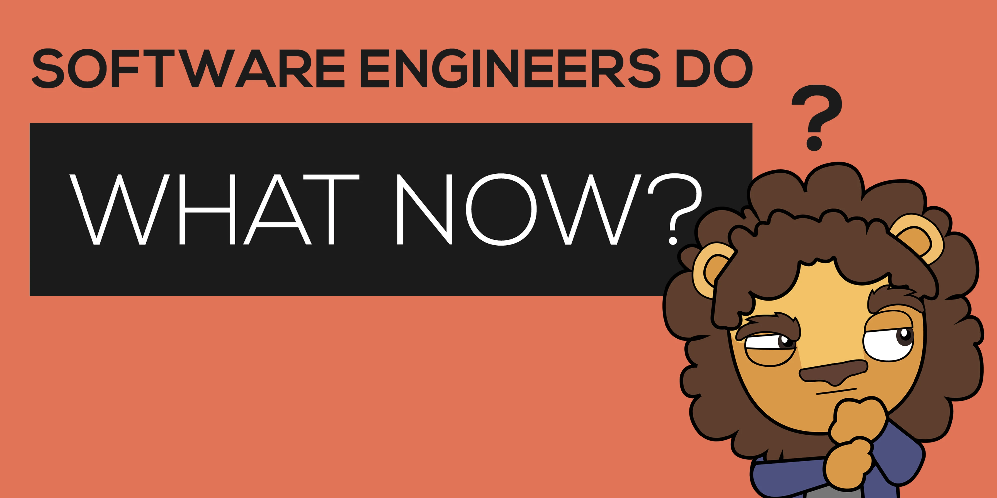 Cover Image for Software Engineers do what now? Book
