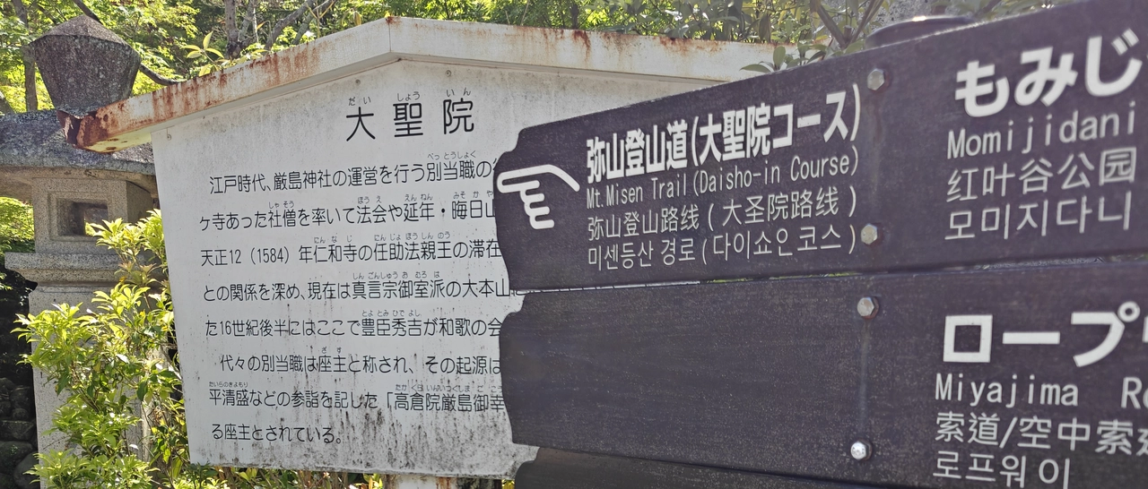 Mount Misen Trail